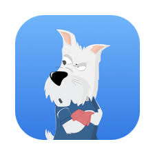 ssrdog机场官网